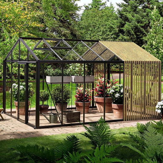 ACCOYA